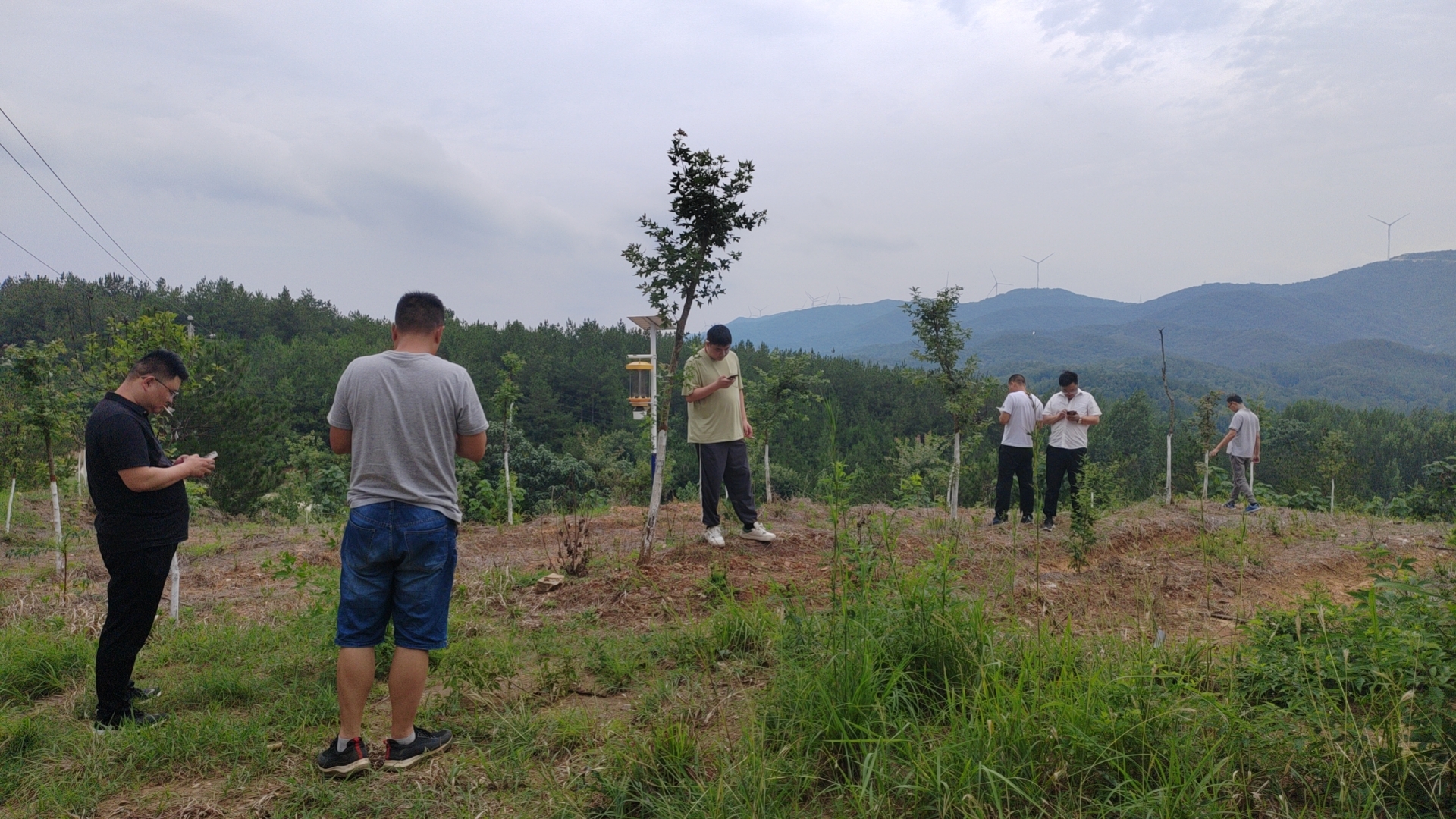 验收部核查验收 (3).jpg